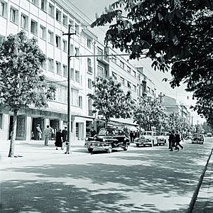 Atatürk Boulevard, Grand Movie Theater and the Office Block, 1950s (16666319379)