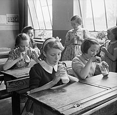 Girls at Baldock County Council School in Hertfordshire enjoy a drink of milk during a break in the school day in 1944. D20552