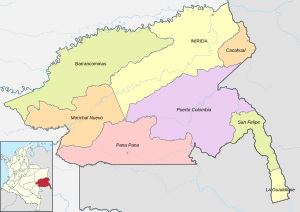 Mapa de Guainía (político)