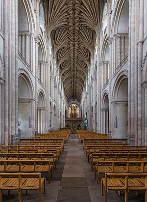 Norwich Cathedral Nave 1, Norfolk, UK - Diliff