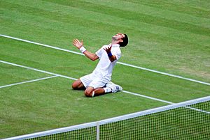 Novak Djokovic Wimbledon 2011 semifinal win celebration - croped and edited