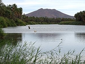 River Scene - San Ignacio - Baja California Sur - Mexico (23675579140)