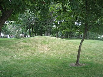 Rockford Il Beattie Park Mounds2.jpg