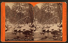 Trout stream in winter, among the Alleghenies near Cresson, on the P. R. R, by R. A. Bonine 2