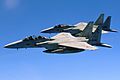 Two Japan Air Self Defense Force F-15 jets